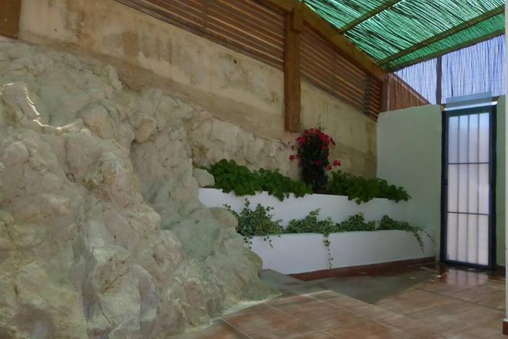 Vila The Secret Garden Alicante Exteriér fotografie